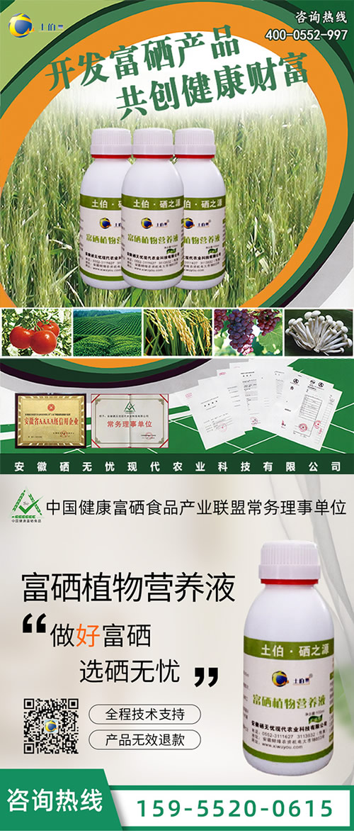 ����,ˮ��������